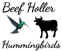 Beef Holler Hummingbirds